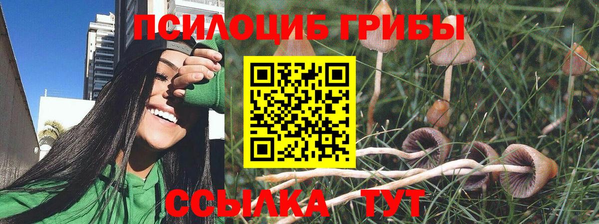 Галлюциногенные грибы Cubensis Пушкино
