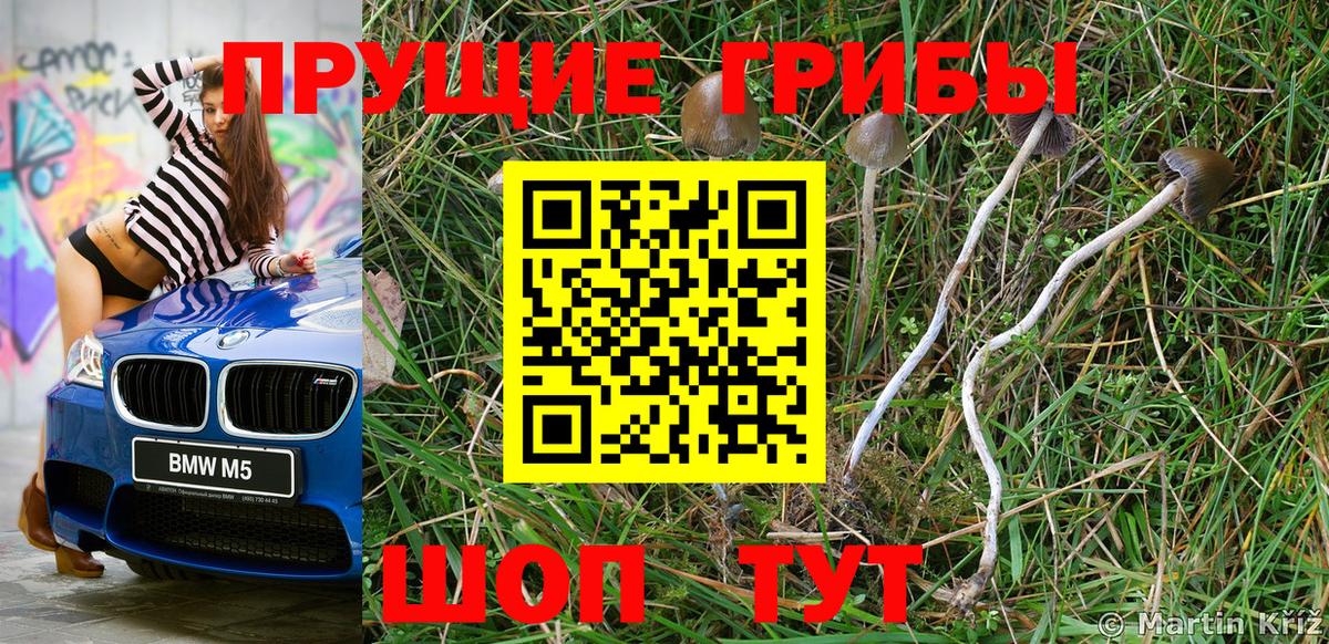 Пушкино  наркошоп  Вход с VPN  Галлюциногенные грибы MAGIC MUSHROOMS 